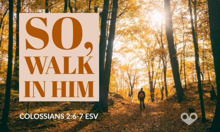 ‭‭TODAY’S PASSAGE: ‭‭‭‭‭‭‭‭‭‭‭‭‭‭Colossians‬ ‭2:6-7‬ ‭ESV‬‬