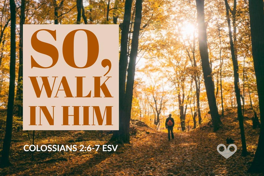‭‭TODAY’S PASSAGE: ‭‭‭‭‭‭‭‭‭‭‭‭‭‭Colossians‬ ‭2:6-7‬ ‭ESV‬‬