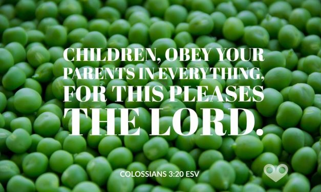 ‭‭TODAY’S PASSAGE: ‭‭‭‭Colossians‬ ‭3:20‬ ‭ESV‬‬