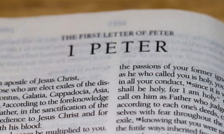 Chapter a Day: 1 Peter 2