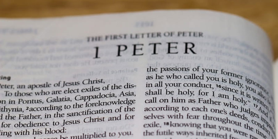 Chapter a Day: 1 Peter 1
