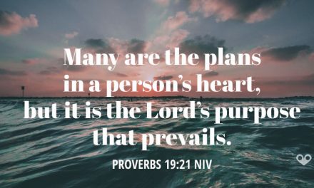 TODAY’S PASSAGE: ‭‭‭‭‭‭Proverbs‬ ‭19:21‬ ‭NIV‬‬