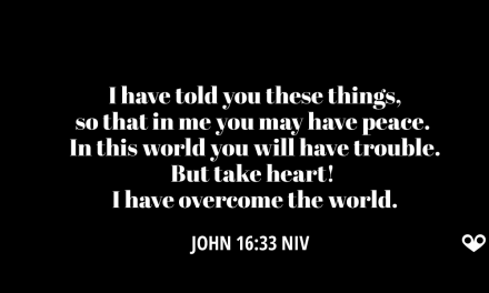 TODAY’S PASSAGE: ‭‭‭‭‭‭‭‭‭‭‭‭‭‭‭‭‭‭JOHN 16:33 NIV