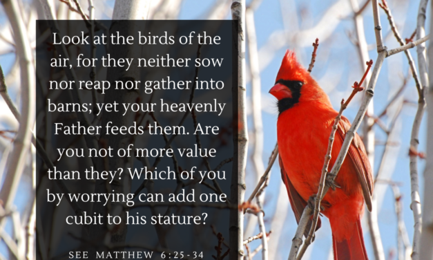‭‭TODAY’S PASSAGE: ‭‭‭‭‭‭‭‭‭‭‭‭‭‭‭‭‭‭‭‭‭‭‭‭‭‭‭‭‭‭‭‭‭‭‭‭‭‭‭‭‭‭‭‭‭‭‭‭‭‭‭‭‭‭‭‭‭‭Matthew‬ ‭6‬:‭25‬-‭34‬ ‭NKJV‬‬