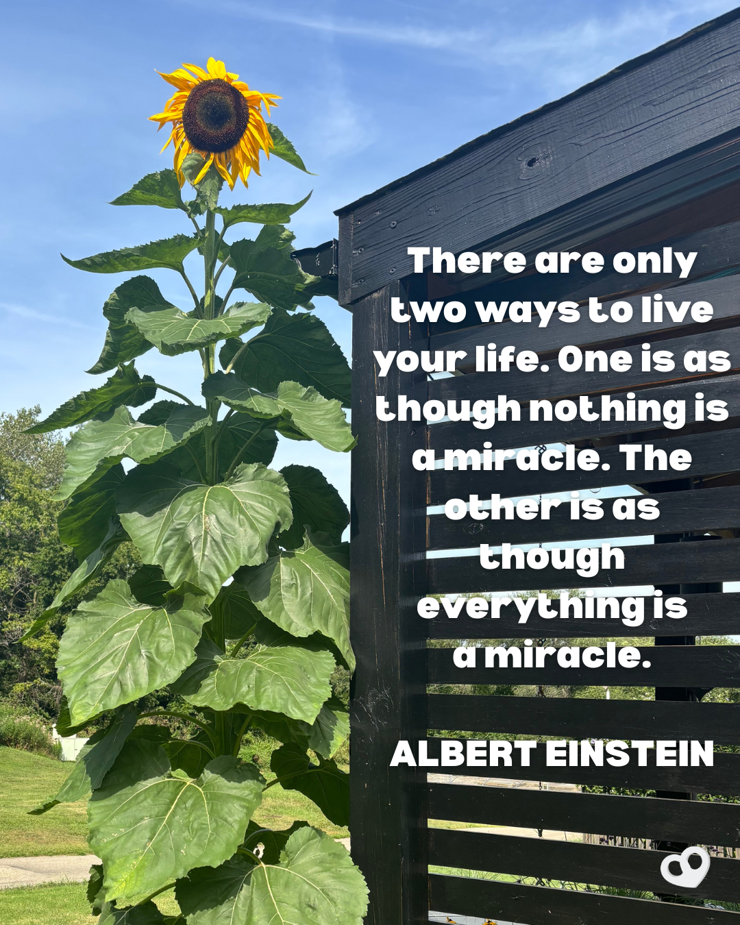 There are only two ways to live your life. One is as though nothing is a miracle. The other is as though everything is a miracle. — ALBERT EINSTEIN