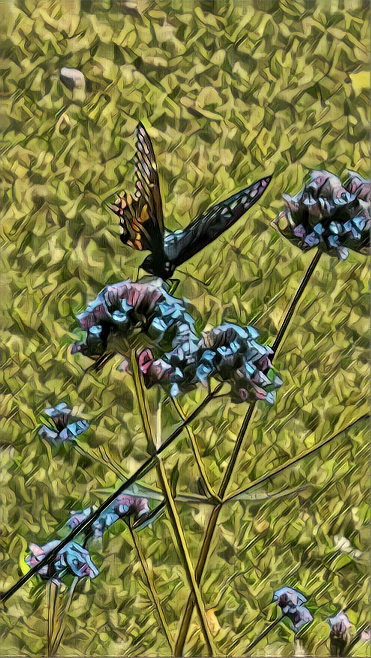 Edited in Prisma app with Tokyo