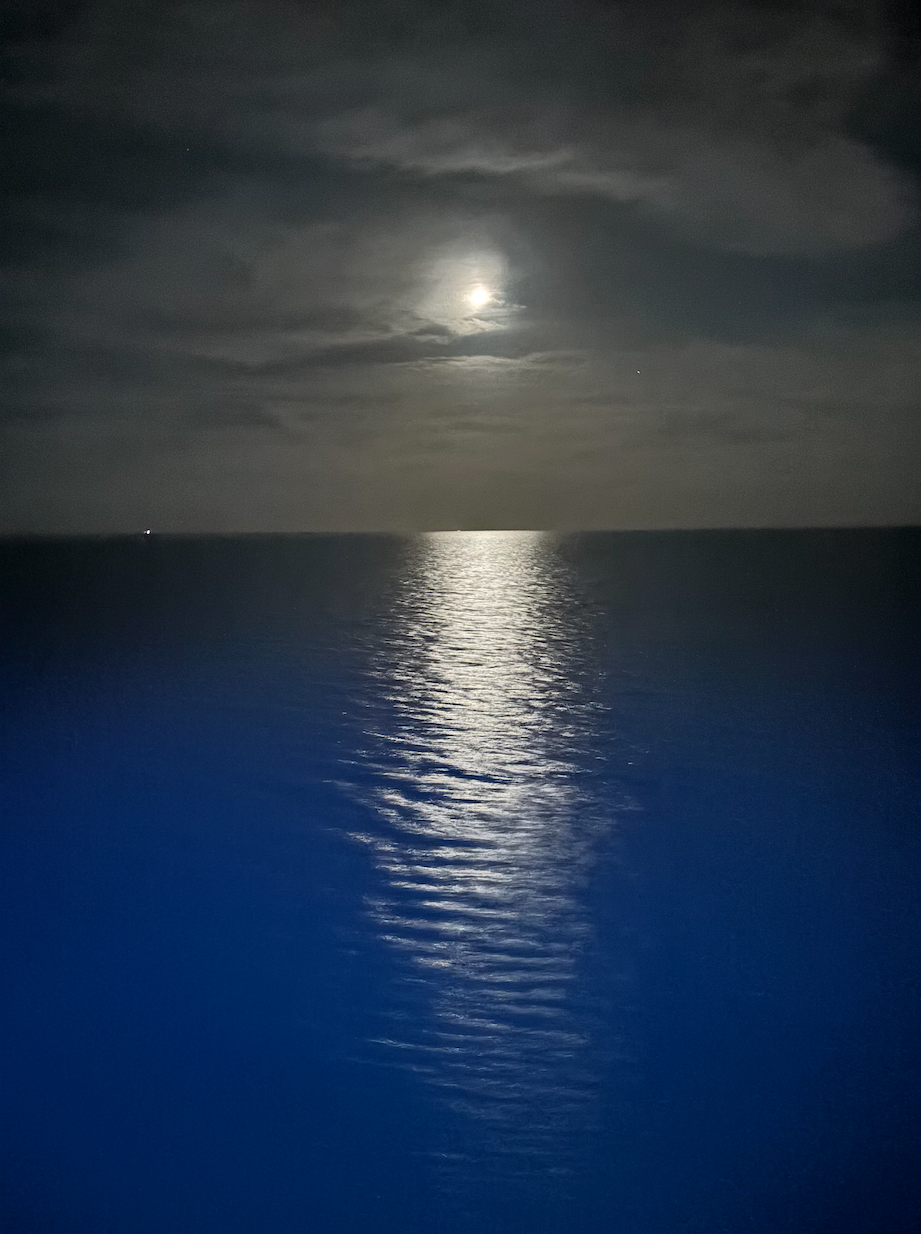 Screen Shot 2025-11-03 at 12.57.15 PM