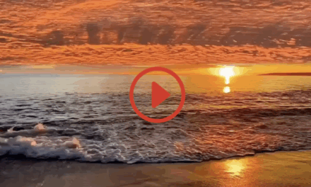 ‭‭TODAY’S PASSAGE: ‭‭‭‭‭‭‭‭‭‭‭‭‭‭‭‭‭‭‭‭‭‭‭‭‭‭‭‭‭‭‭‭‭‭Colossians‬ ‭4‬:‭2‬ ‭NLT‬‬