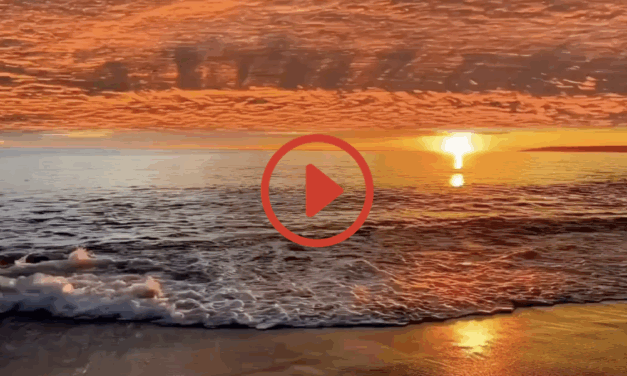 ‭‭TODAY’S PASSAGE: ‭‭‭‭‭‭‭‭‭‭‭‭‭‭‭‭‭‭‭‭‭‭‭‭‭‭‭‭‭‭‭‭‭‭Colossians‬ ‭4‬:‭2‬ ‭NLT‬‬