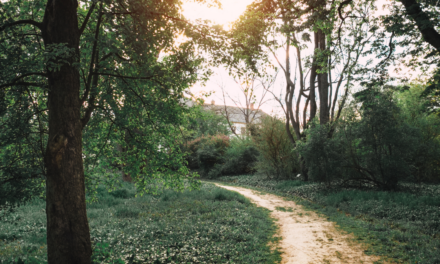 ‭‭TODAY’S PASSAGE: ‭‭‭‭‭‭‭‭‭‭‭‭‭‭‭‭‭‭‭‭‭‭‭‭‭‭‭‭‭‭‭‭‭‭‭‭‭‭‭‭Psalms‬ ‭84‬:‭11‬-‭12‬ ‭NKJV‬‬