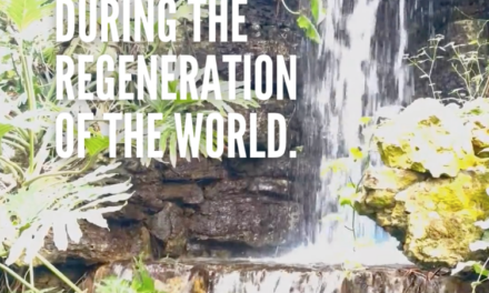 ‭‭TODAY’S PASSAGE: ‭‭‭‭‭‭‭‭‭‭‭‭‭‭Matthew‬ ‭19‬:‭28‬-‭29‬ ‭NKJV‬‬