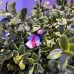 ‭‭TODAY’S PASSAGE: ‭‭‭‭‭‭‭‭John‬ ‭5‬:‭24‬ ‭NLT‬‬