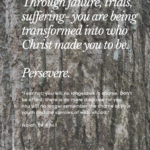 ‭‭TODAY’S PASSAGE: ‭‭‭‭‭‭‭‭‭‭‭‭‭‭Isaiah‬ ‭54‬:‭4‬ ‭NLT‬‬