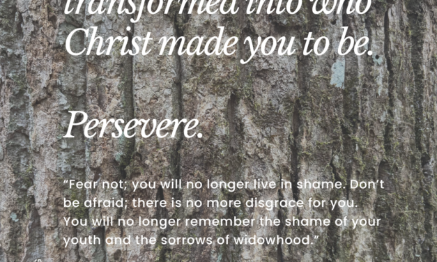 ‭‭TODAY’S PASSAGE: ‭‭‭‭‭‭‭‭‭‭‭‭‭‭Isaiah‬ ‭54‬:‭4‬ ‭NLT‬‬