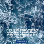 ‭‭TODAY’S PASSAGE: ‭‭Psalms‬ ‭104‬:‭25‬ ‭NLT‬‬
