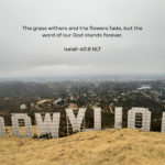 ‭‭TODAY’S PASSAGE: ‭‭‭‭‭‭‭‭‭‭‭‭‭‭‭‭‭‭‭‭‭‭Isaiah‬ ‭40‬:‭8‬ ‭NLT‬‬