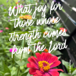 ‭‭TODAY’S PASSAGE: ‭‭Psalms‬ ‭84‬:‭5‬-‭6‬ ‭NLT‬‬
