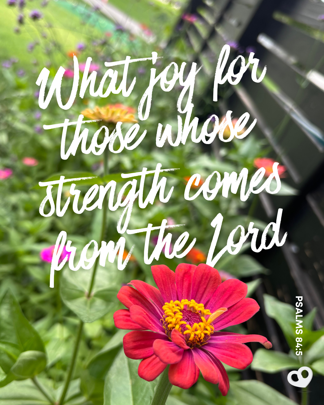 psalm-84-5-6 John 8:12 NLT